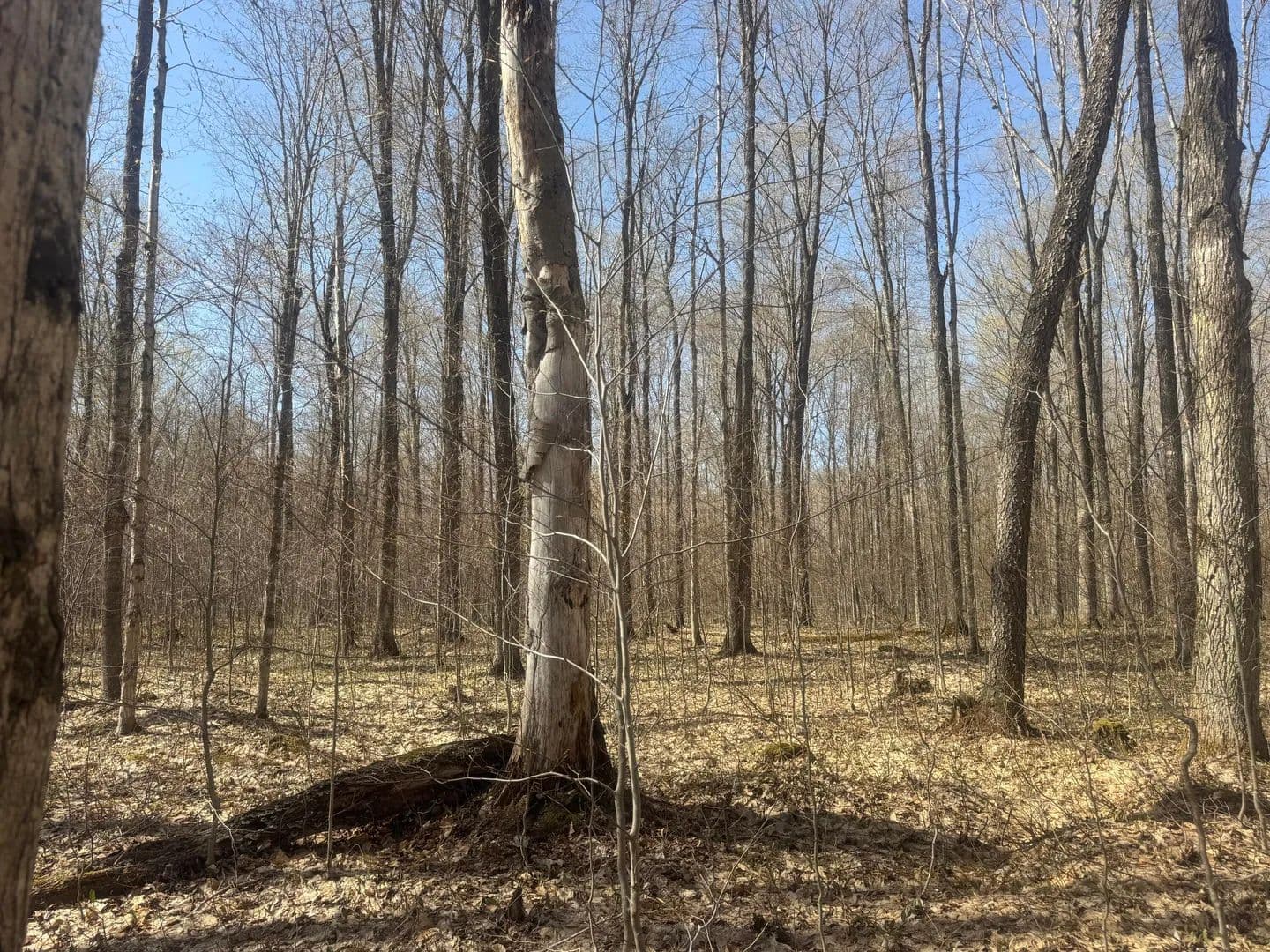 Land for Sale in Engadine, MI - Engadine, Michigan, 49827
