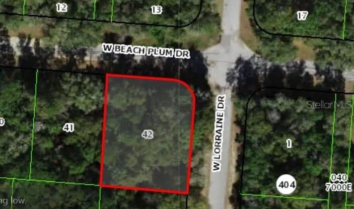 0.28 Acres of Land for Sale in CITRUS SPRINGS, FL - Citrus Springs, Florida, 34434