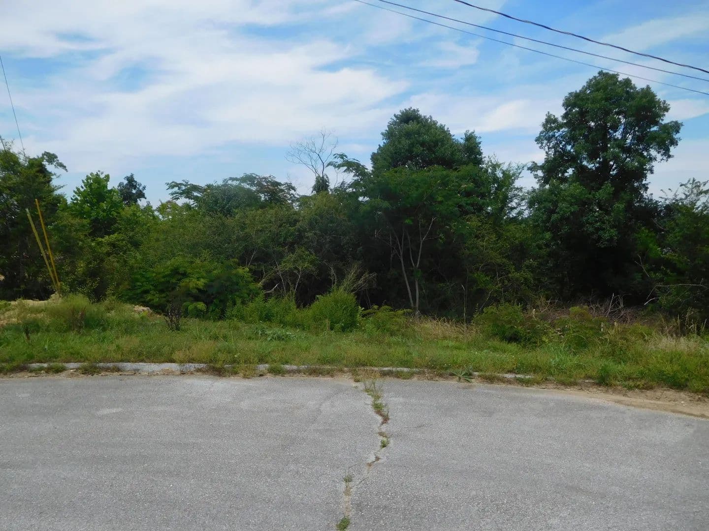 60376.48 Acres of Land for Sale in Chattanooga, Tennessee - Chattanooga, Tennessee, 37421