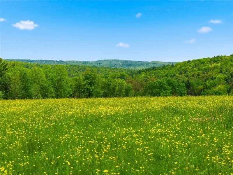 Vacant Land in Binghamton - Binghamton, New York, 13905