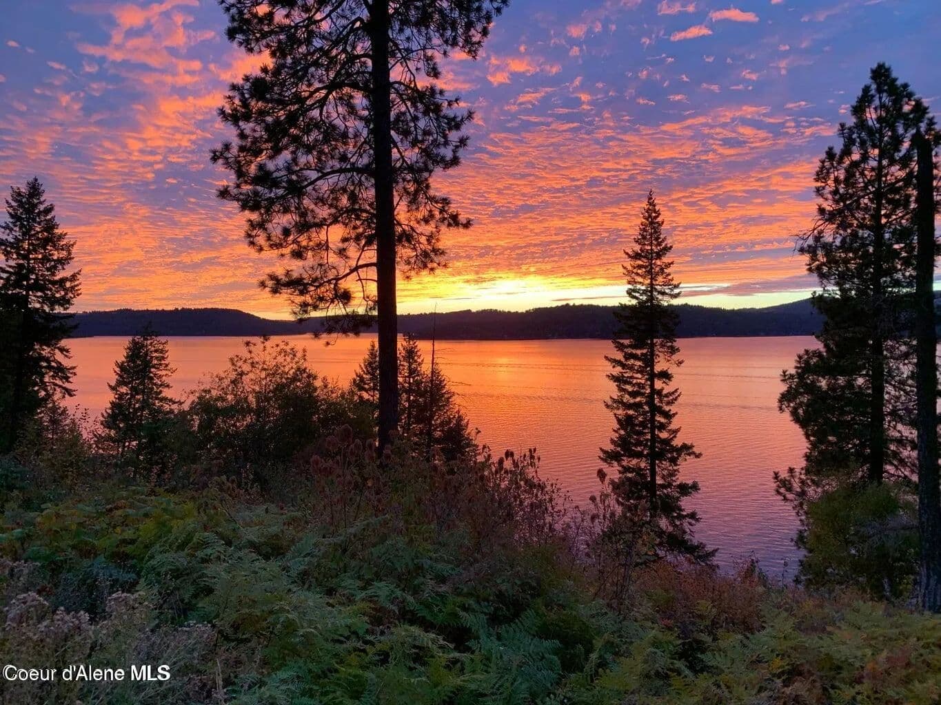 14.56 Acres of Land for Sale in Harrison, ID - Harrison, Idaho, 83833