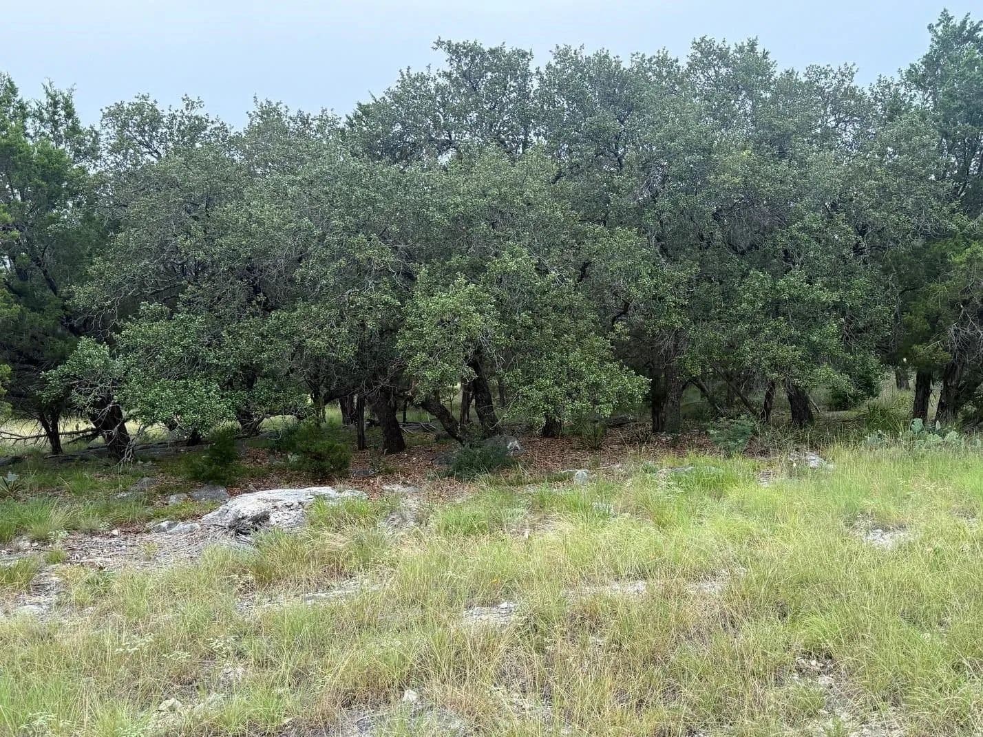 0.25 Acres of Land for Sale in Horseshoe Bay, Texas - Horseshoe Bay, Texas, 78657