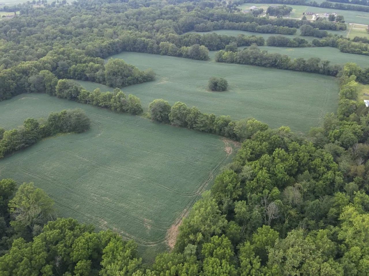 LAND FOR SALE | 59.5 +/- ACRES, | POSSIBLE BUILDING LOT- WOODED/TILLABLE | GREENFIELD, INDIANA | HANCOCK COUNTY - Greenfield, Indiana, 46140