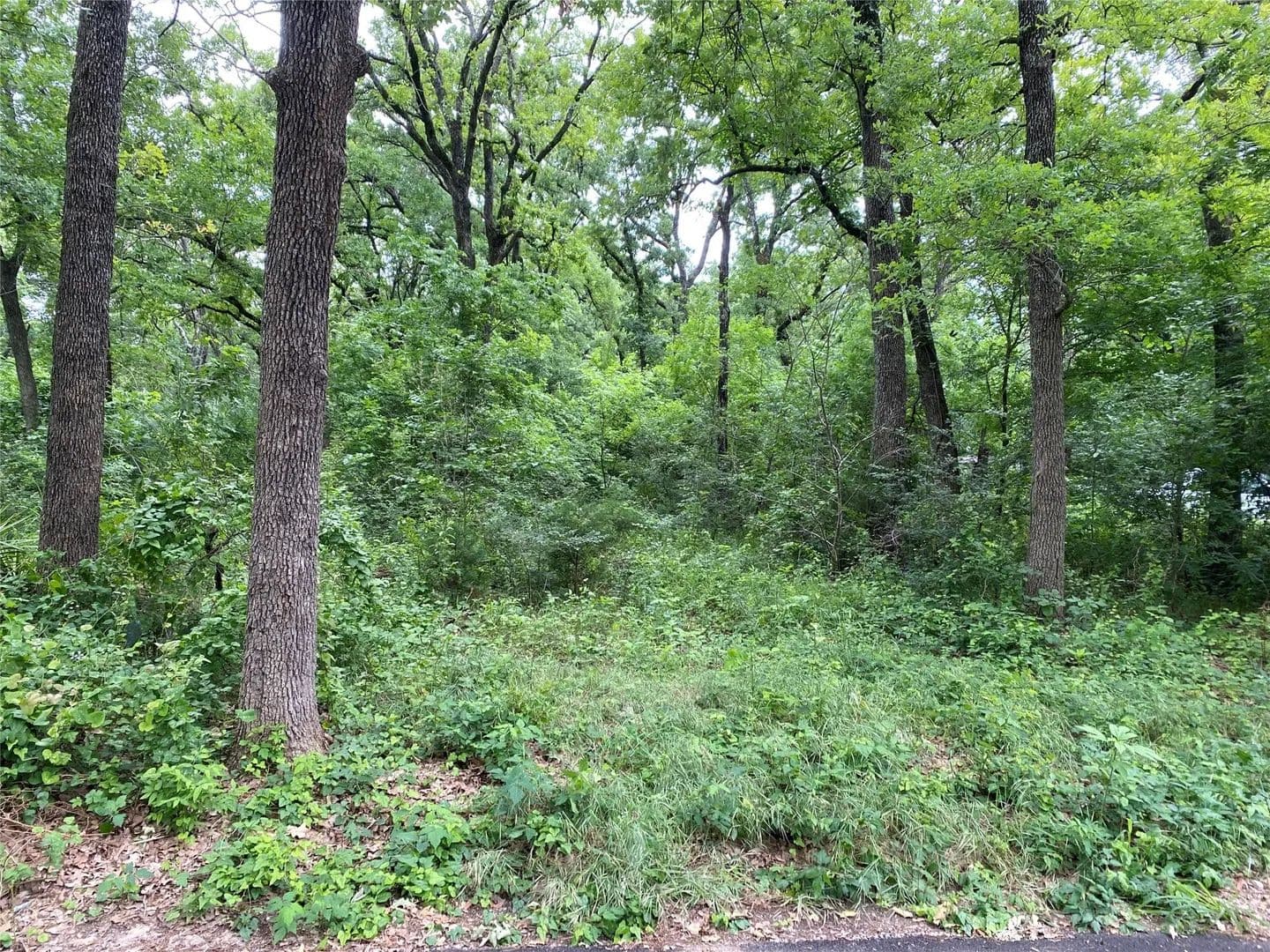 Lots & Land-Other in Frost - Frost, Texas, 76641