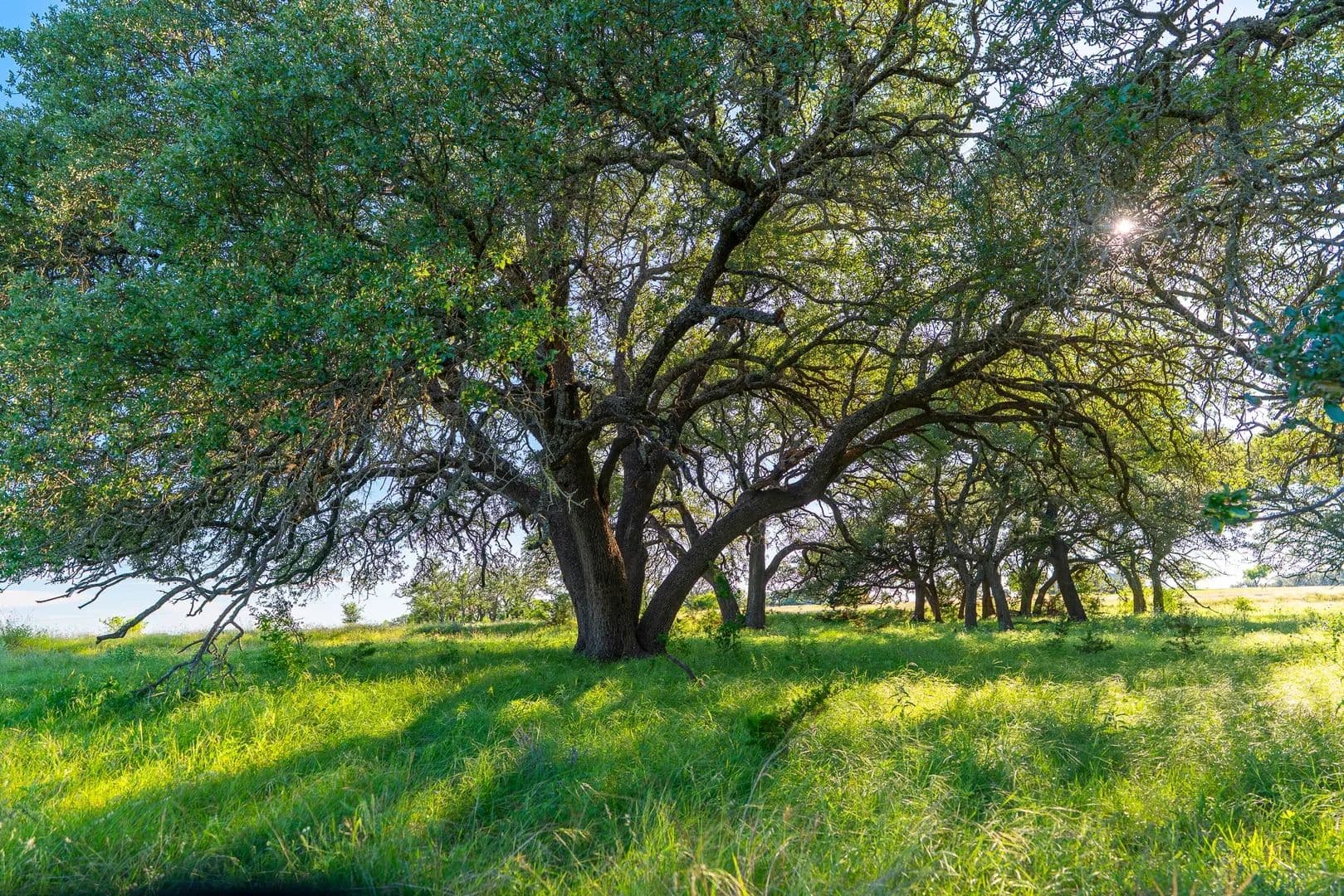 Property from 28 Feild Ranch Road - KW - Burnet, Texas, 78611