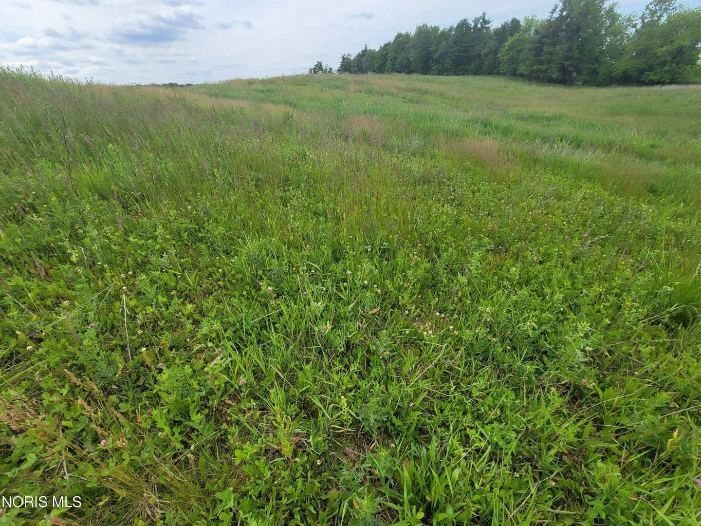2.5 Acres of Land for Sale in Edon, Ohio - Edon, Ohio, 43518