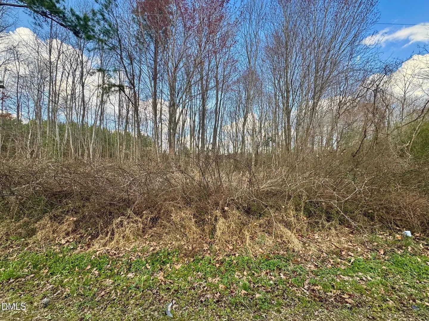 Vacant Land in Henderson - Henderson, North Carolina, 27537