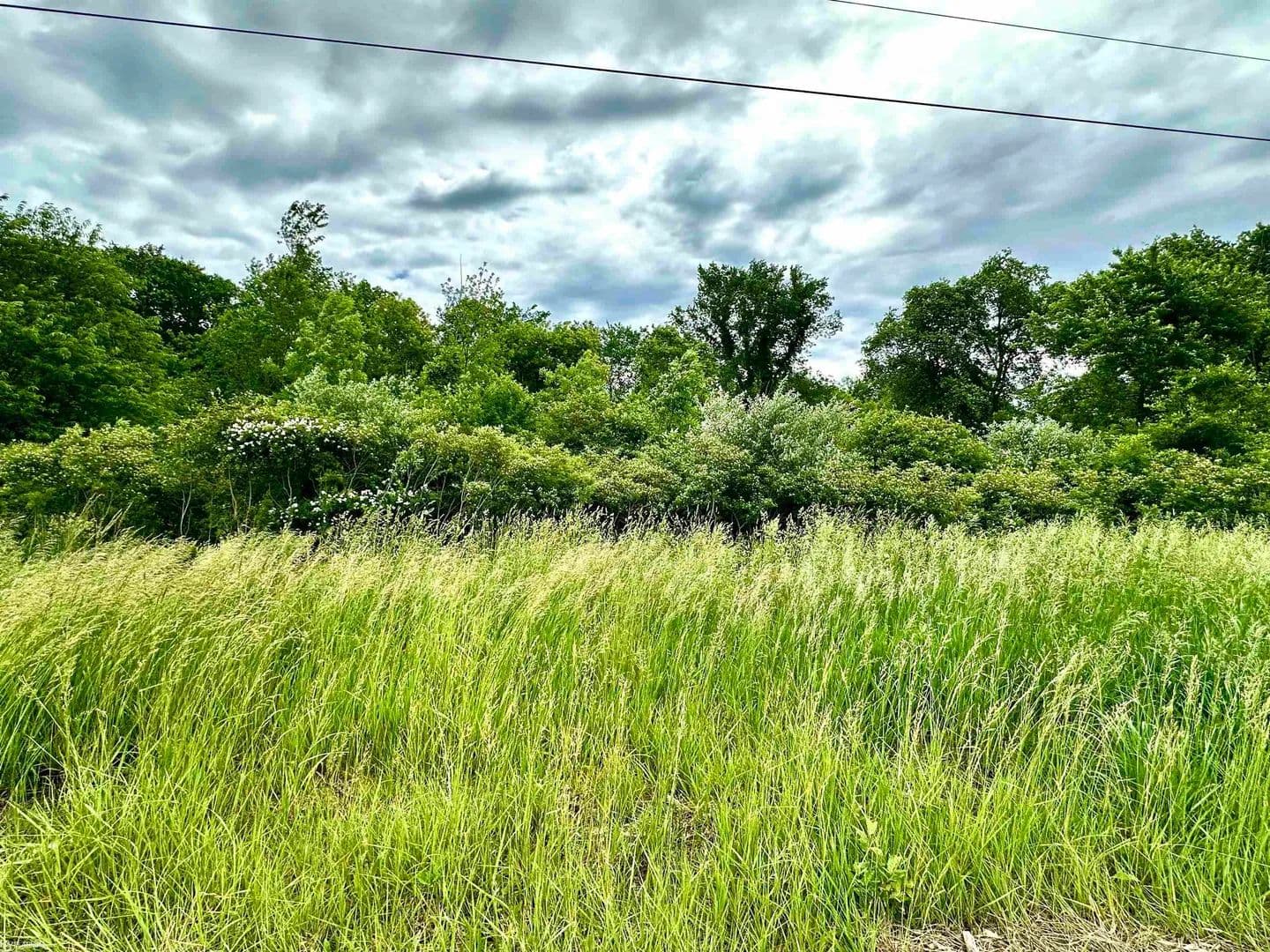Property from VL BRAIDWOOD PARCEL 4 - KW - Riley, Michigan, 48041