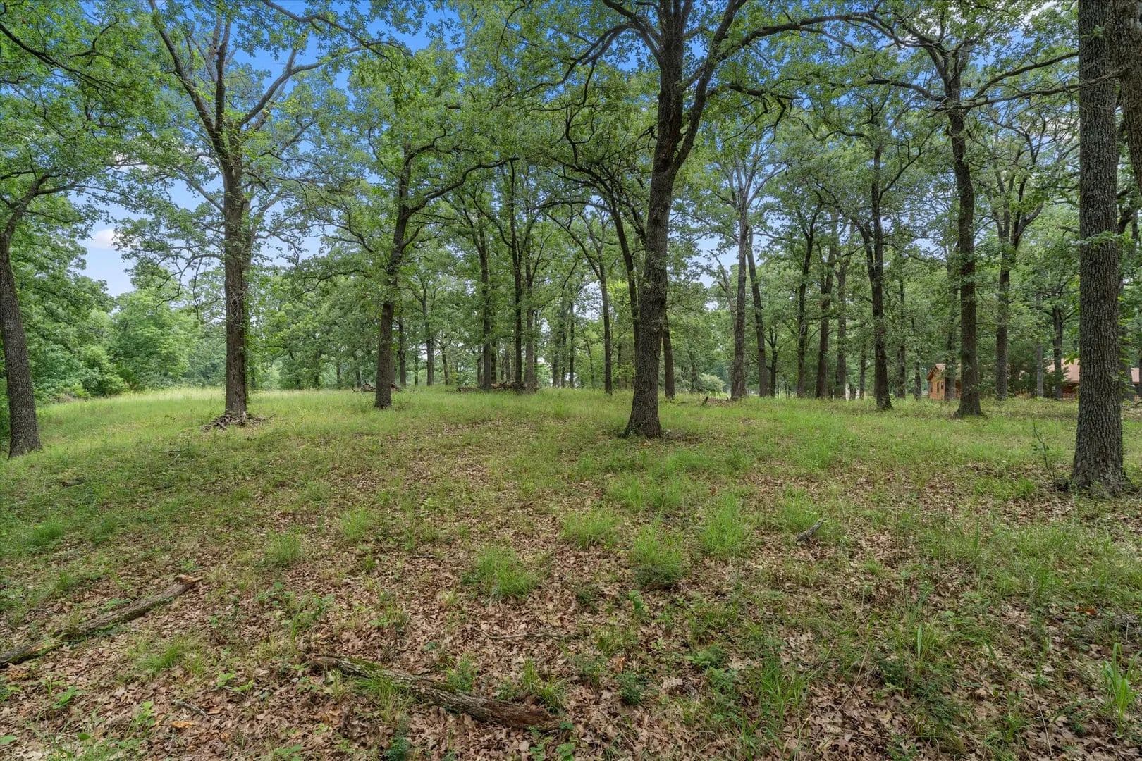 Property from 78 & 79 Tall Oaks Drive - KW - Streetman, Texas, 75859