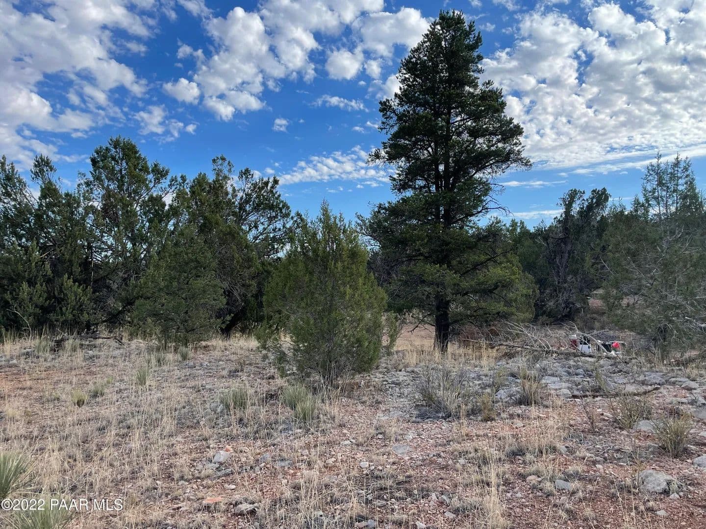 Property from 54663 N Forest Grove Way - KW - Seligman, Arizona, 86337