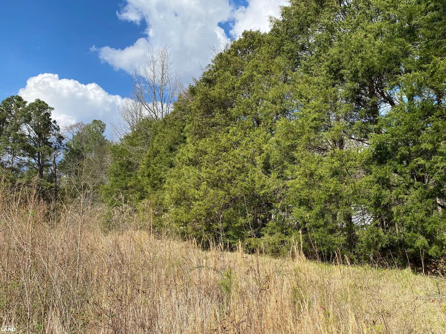 9.75 Ac Shelby County Spring Creek Mini Farm - Vincent, Alabama, 35178