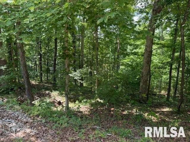 Property from 000 Wagon Creek Loop - KW - Creal Springs, Illinois, 62922