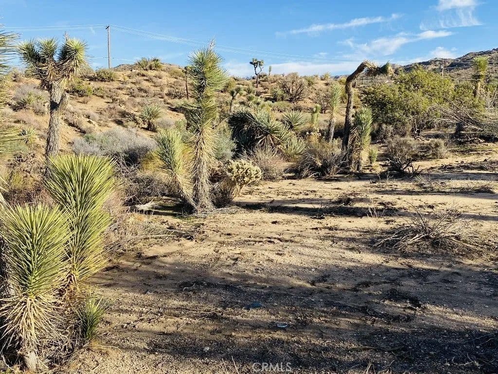 Lots & Land-Other in Yucca Valley - Yucca Valley, California, 92284