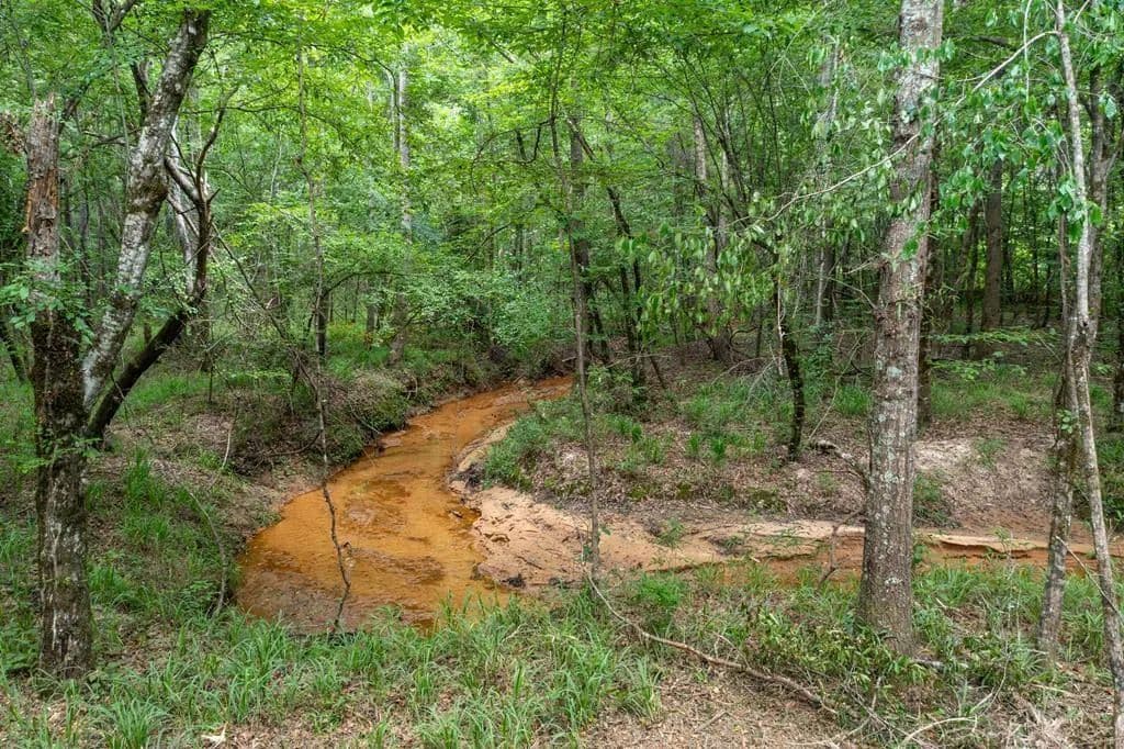 93.01 Acres of Land for Sale in Pittsview, AL - Pittsview, Alabama, 36871