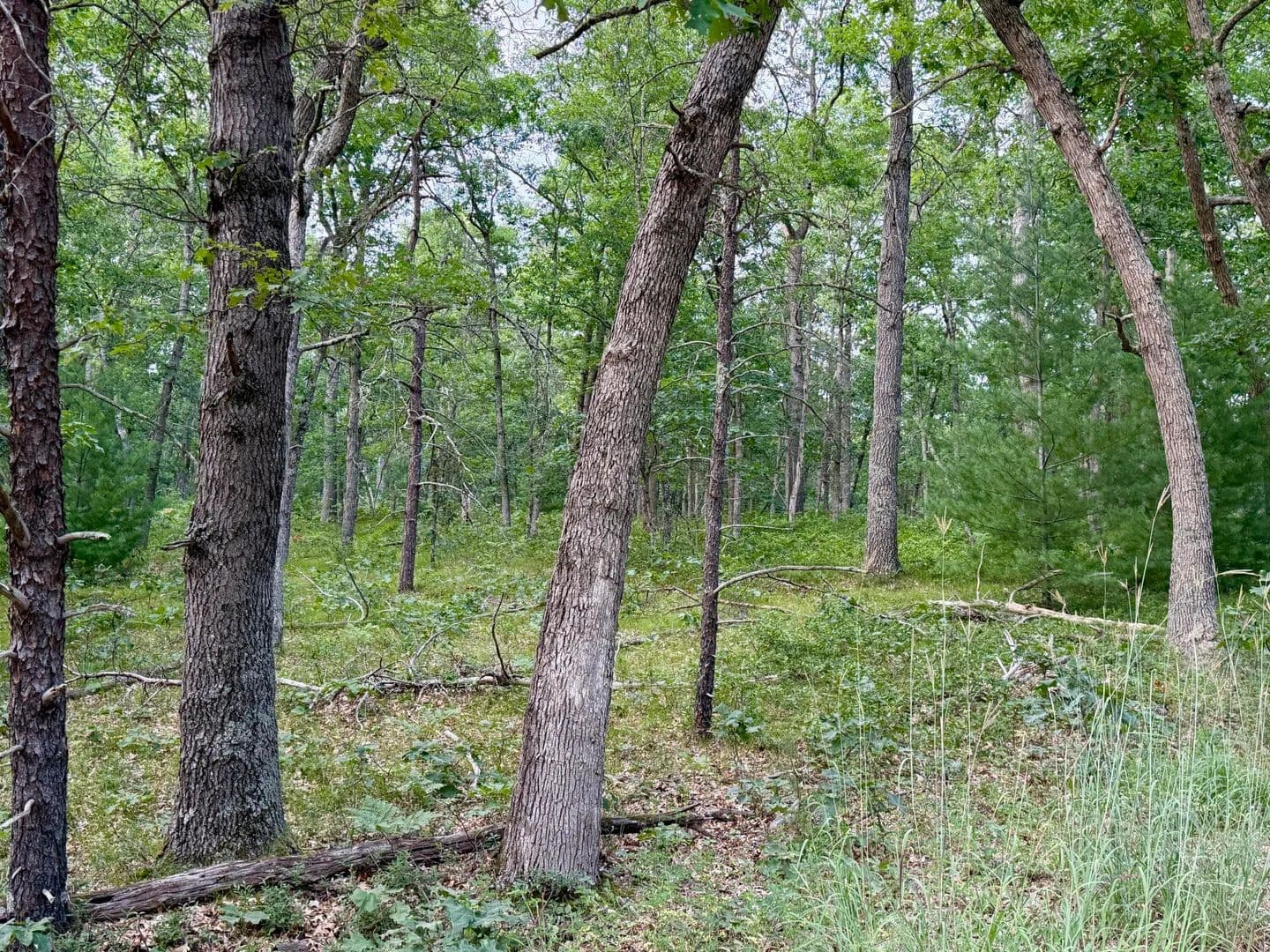 Vacant Land in Manistee - Manistee, Michigan, 49660