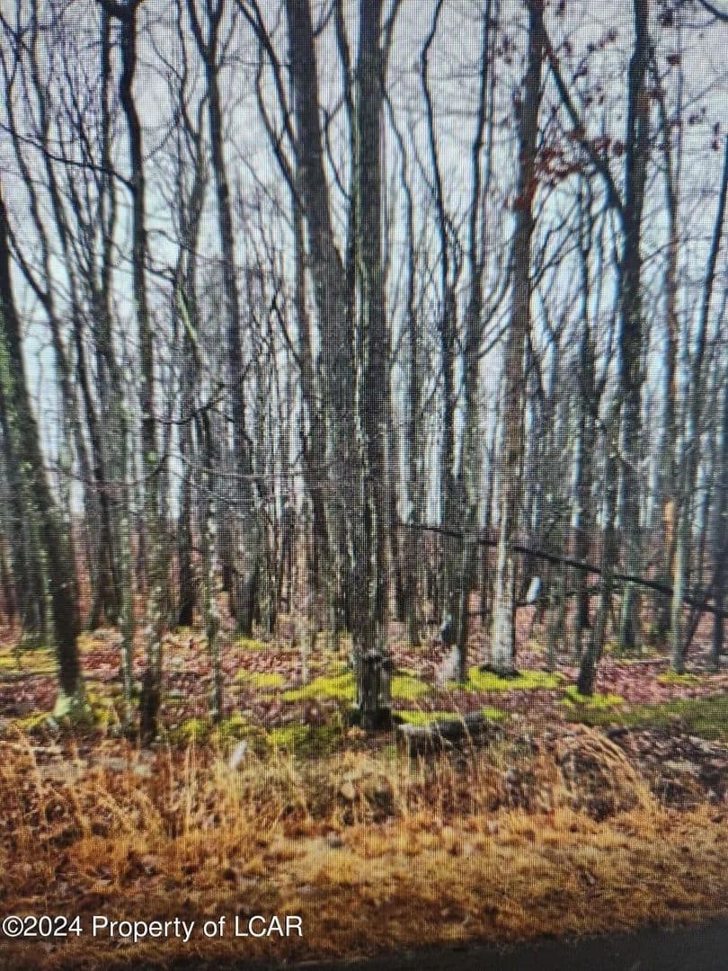 Lots & Land-Other in West Hazleton - West Hazleton, Pennsylvania, 18202