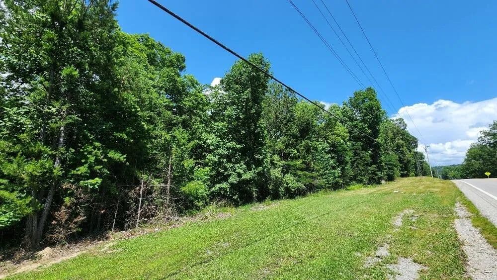 Property from Lot5 Sr 108 - KW - Gruetli Laager, Tennessee, 37339