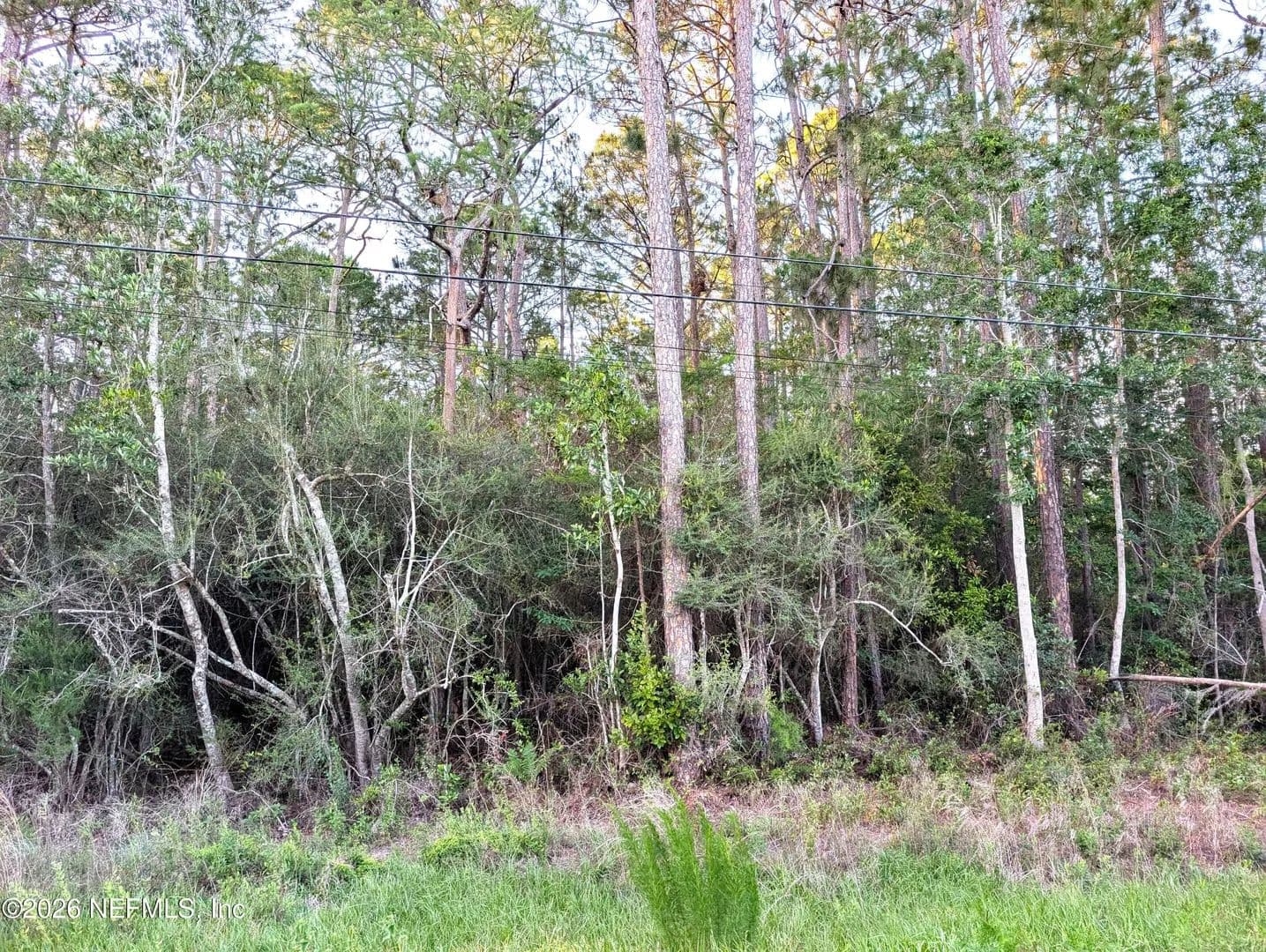 Property from 4818 ACACIA Street - KW - Middleburg, Florida, 32068