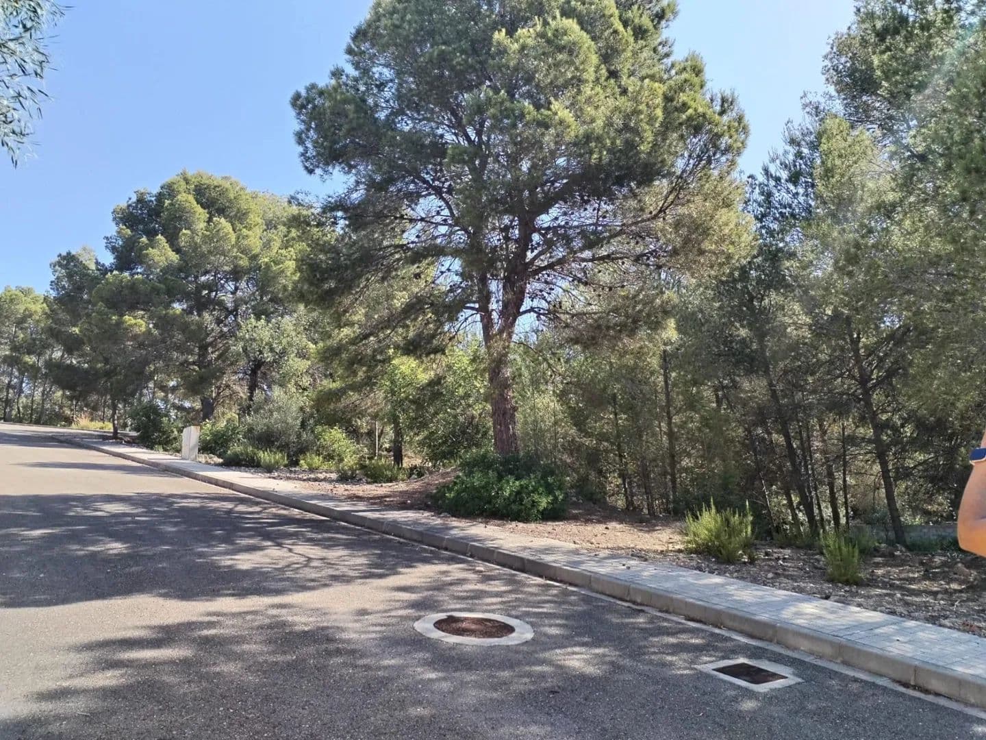 Land for Sale in Albalat dels Tarongers, 46521 - land for sale