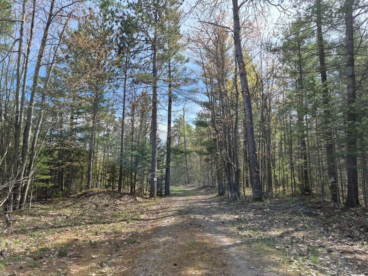 Property from Par 13C Ocqueoc Lake Road - KW - Millersburg, Michigan, 49759