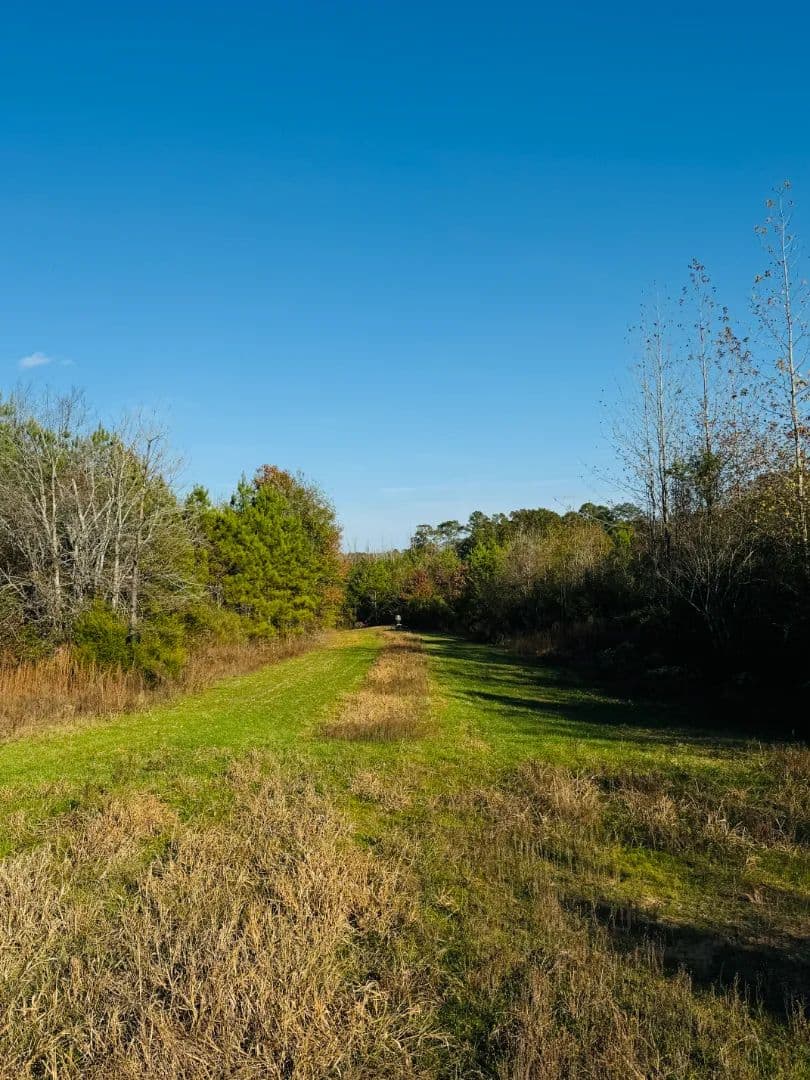 36.3 Acres in Attala County, MS