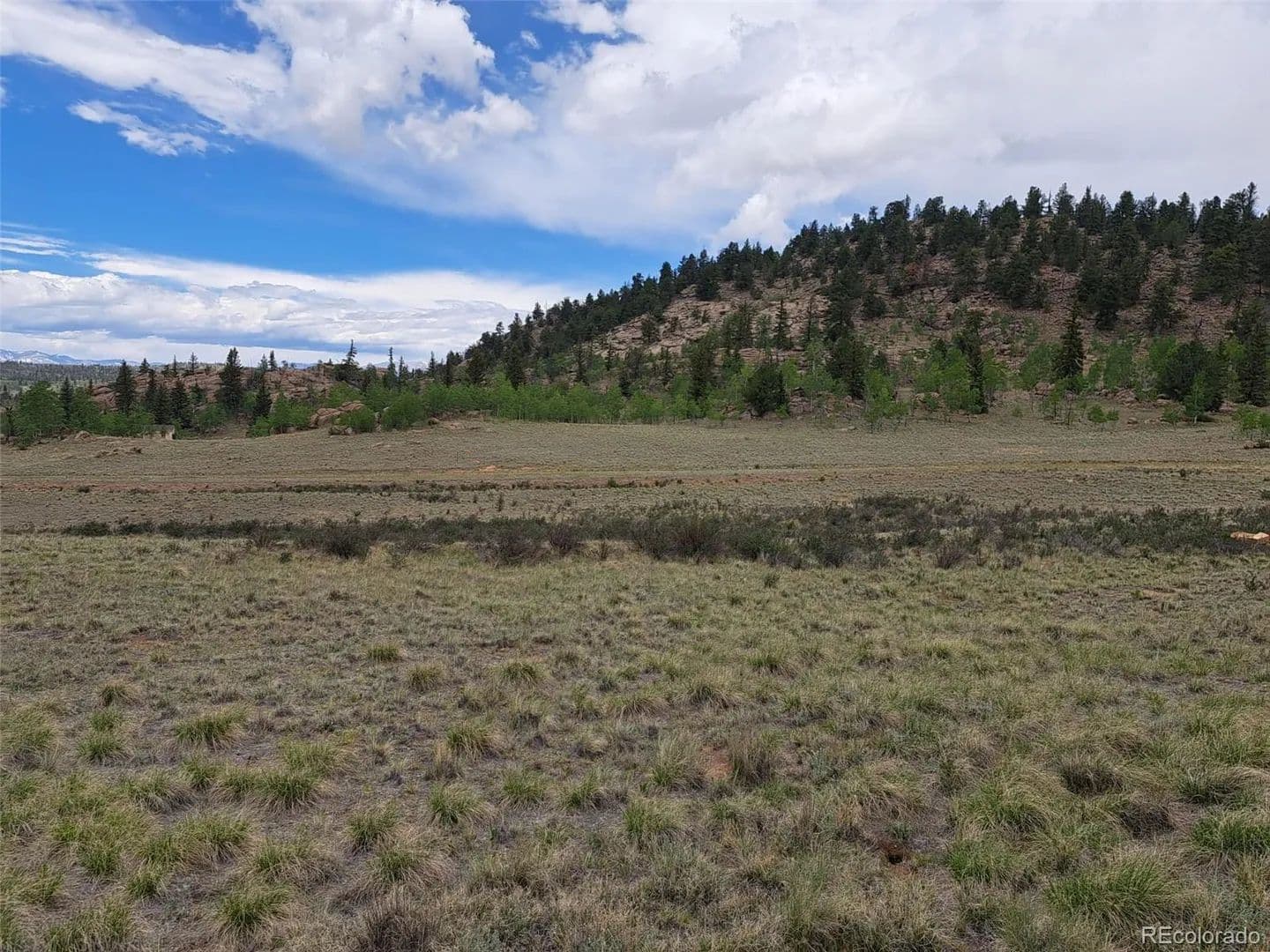 2.41 Acres of Land for Sale in Jefferson, CO - Jefferson, Colorado, 80456
