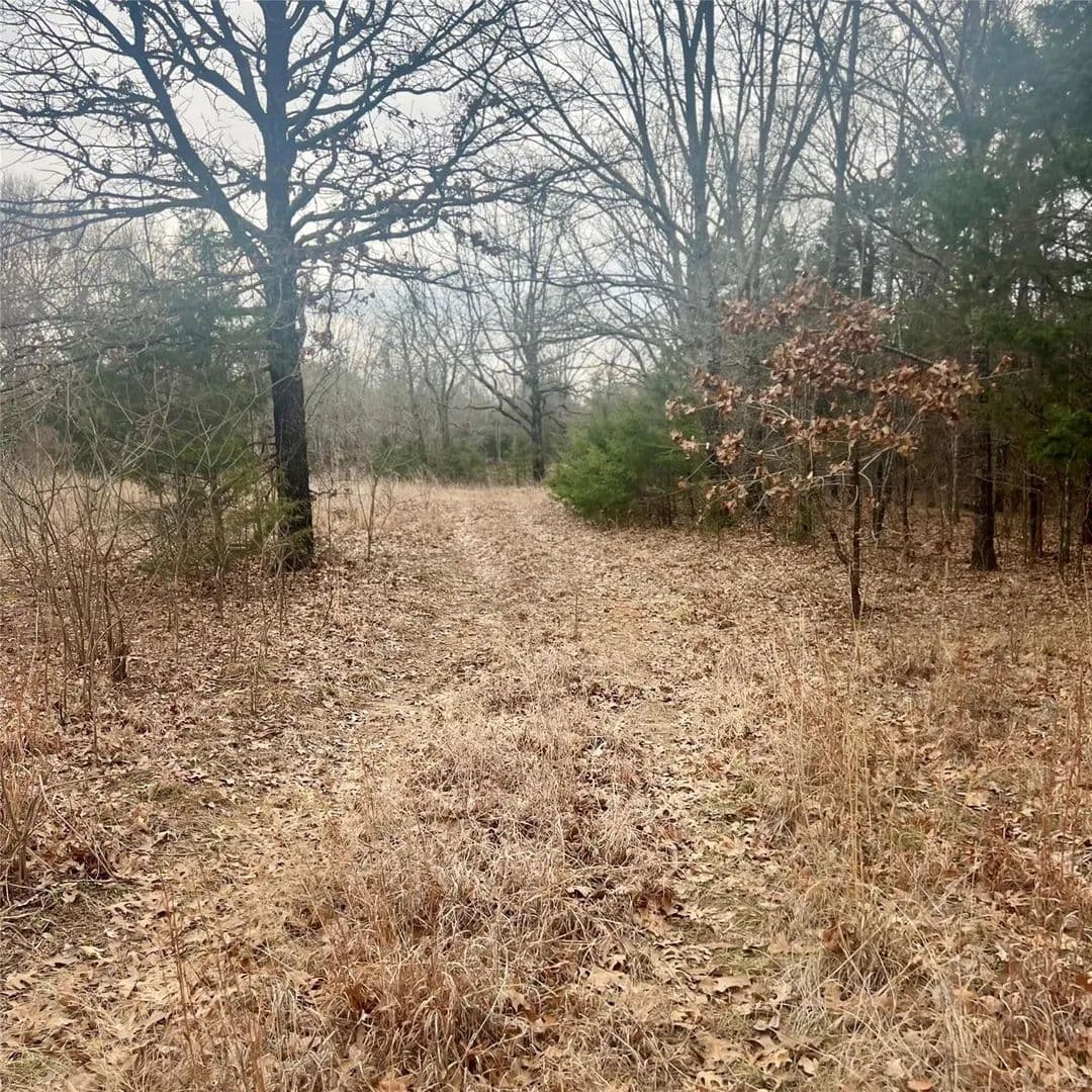 Vacant Land (10+ Acres) in Sulphur Springs - Sulphur Springs, Texas, 75482