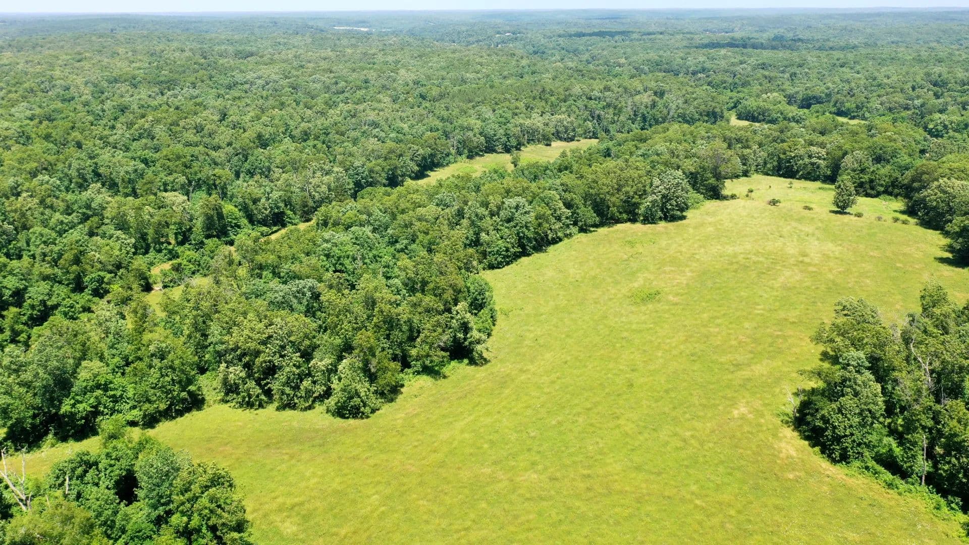 Wooded Hunting Land in Salem, MO with Food Plots + Pond - Salem, Missouri, 65560