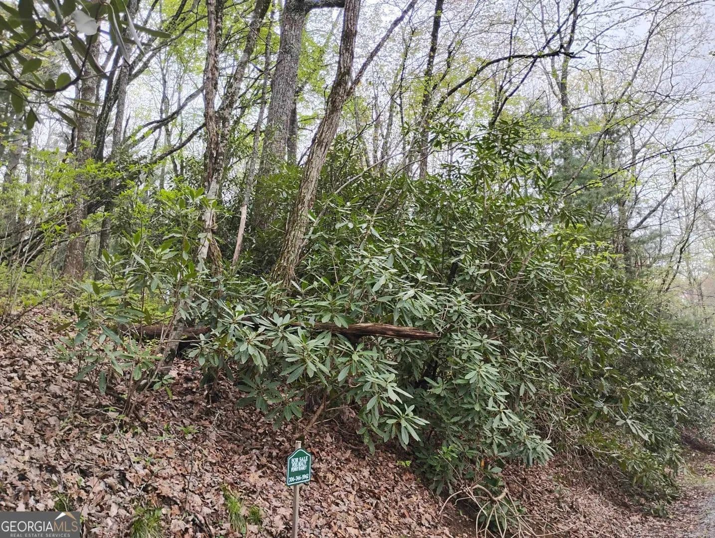 Property from 0 Rebel Circle #LOT 39 - KW - Sky Valley, Georgia, 30537
