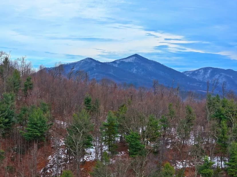 Middle Ridge Preserve: 788+/- Unrestricted Mountain Acres near Roanoke, VA