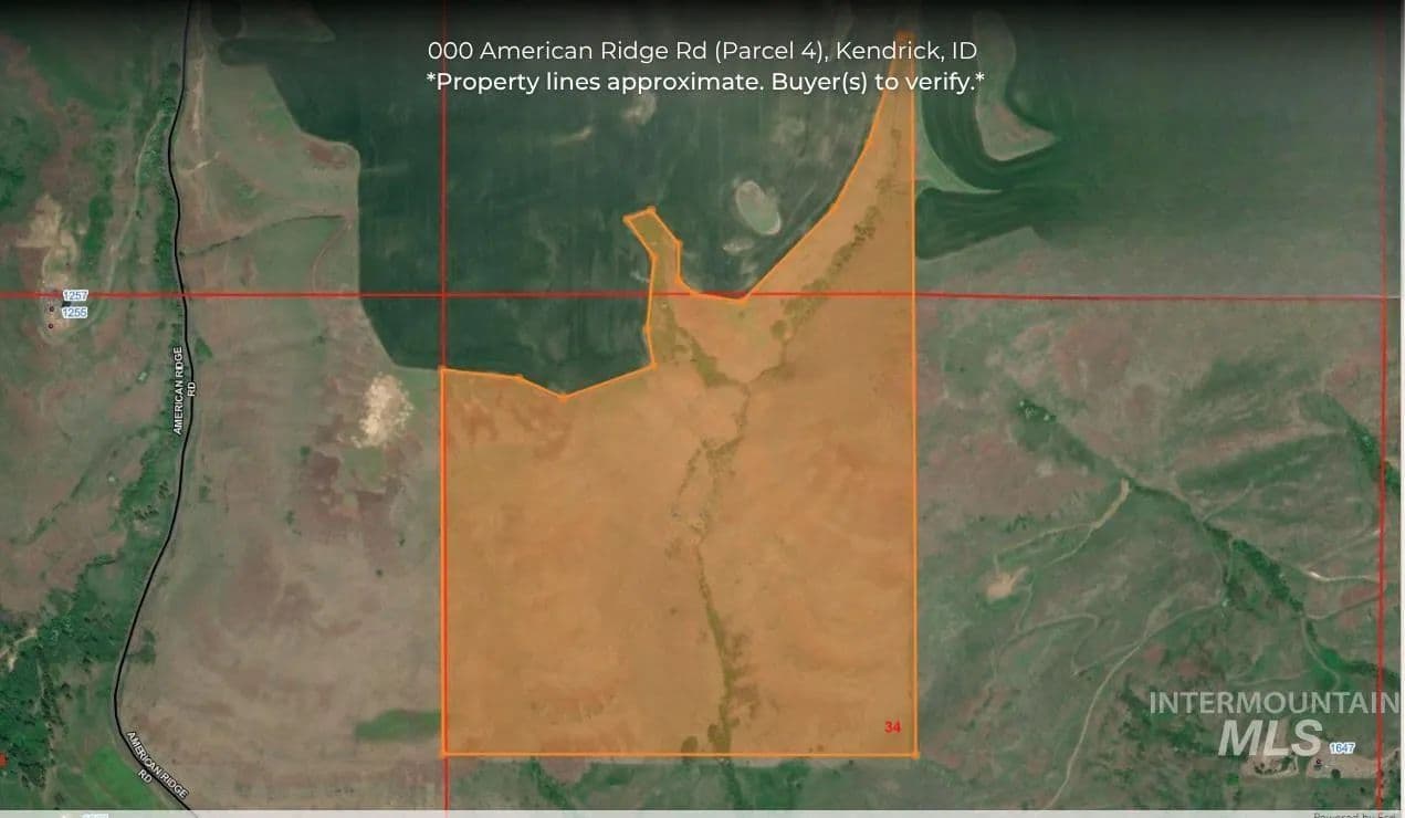 Property from 000 American Ridge Rd (Parcel 4) - KW - Kendrick, Idaho, 83537