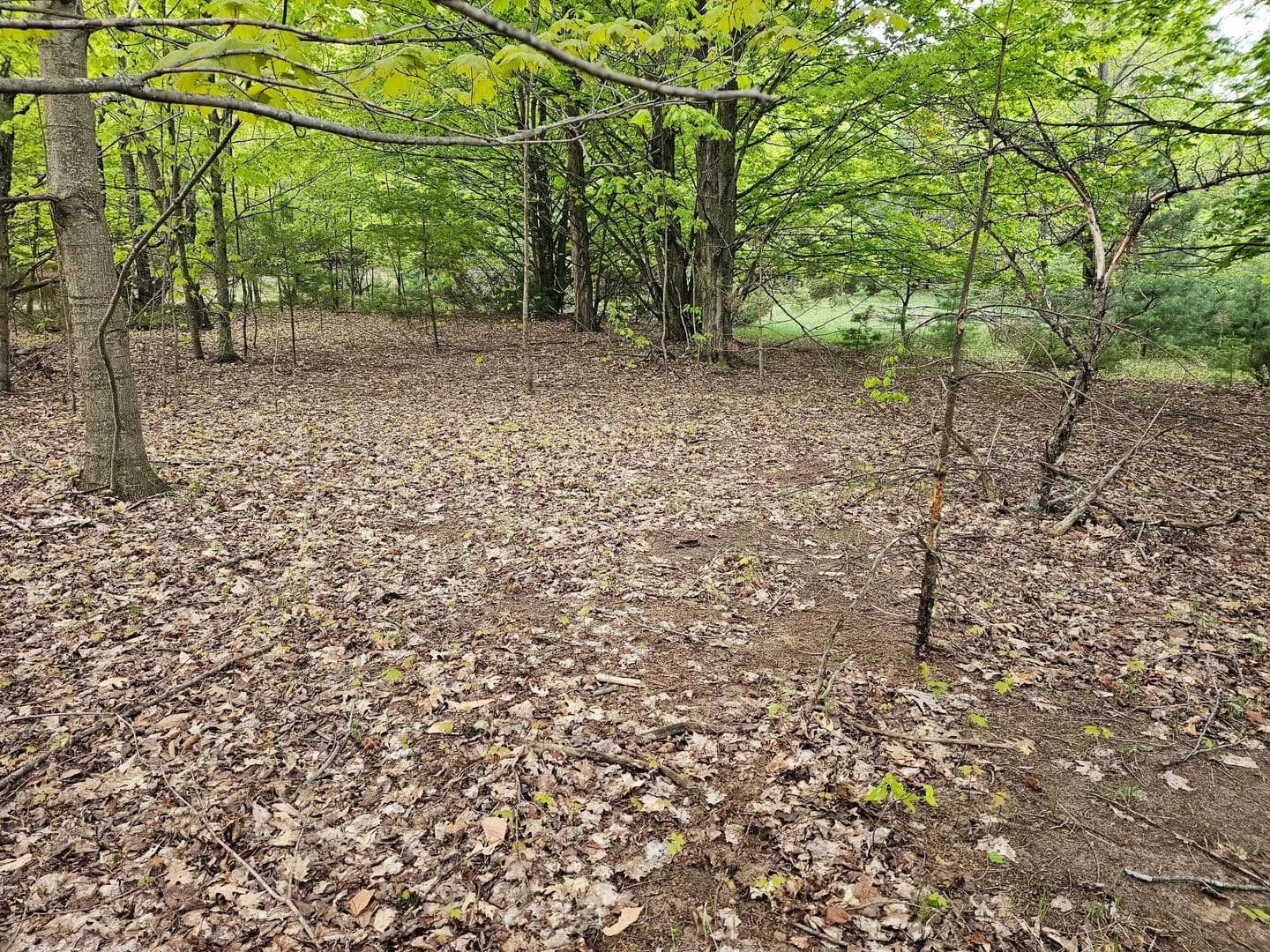 Lots & Land-Other in Bear Lake - land for sale