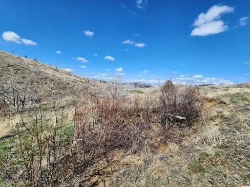 34.57 Acres of Land for Sale in Norris, Montana - Norris, Montana, 59745