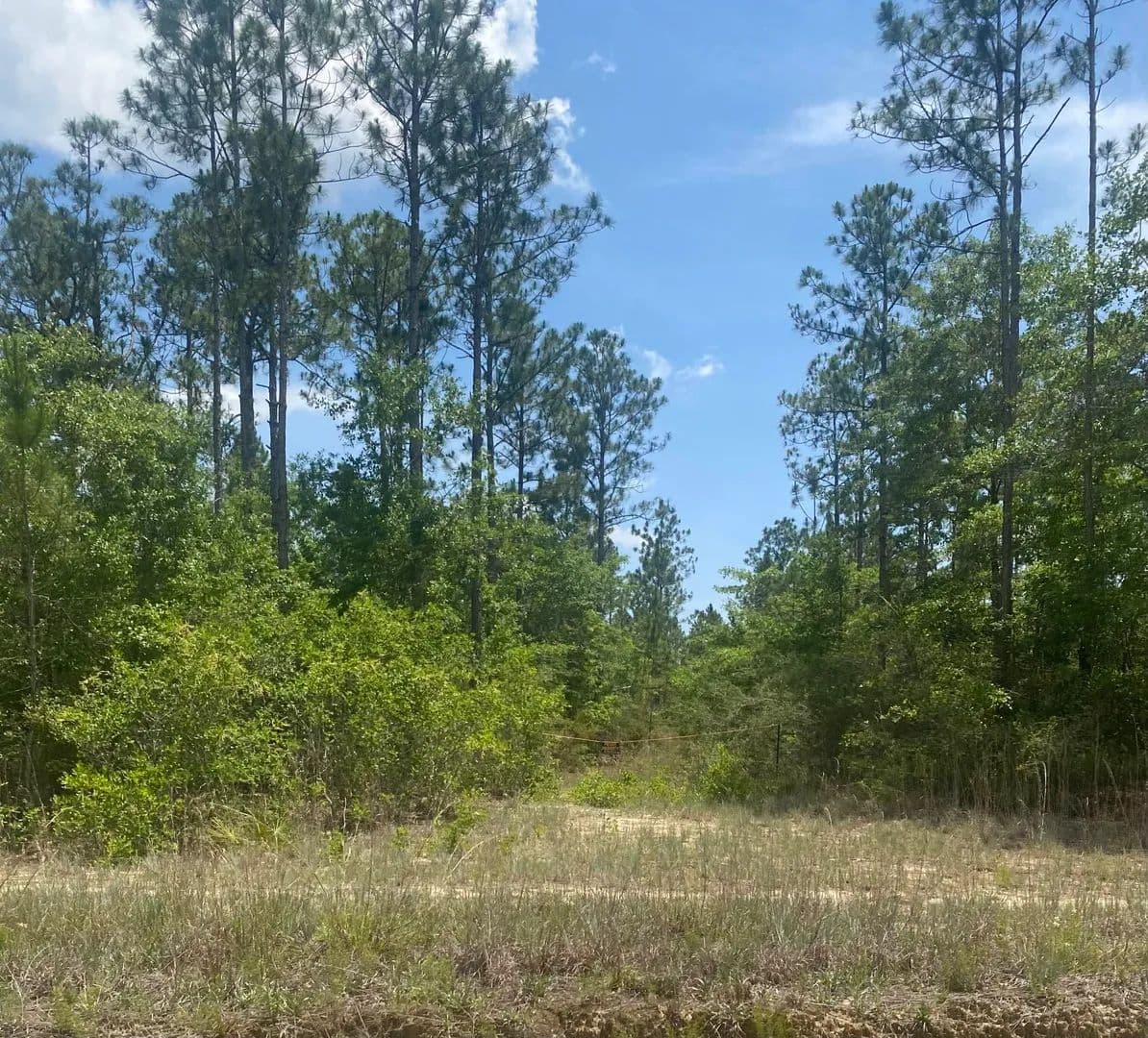 Property from TBD Joe Dugger Road - KW - Freeport, Florida, 32439
