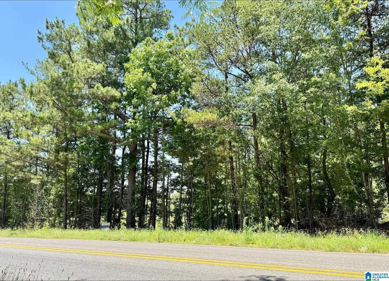 15 Acres of Land for Sale in Wedowee, Alabama - Wedowee, Alabama, 36278