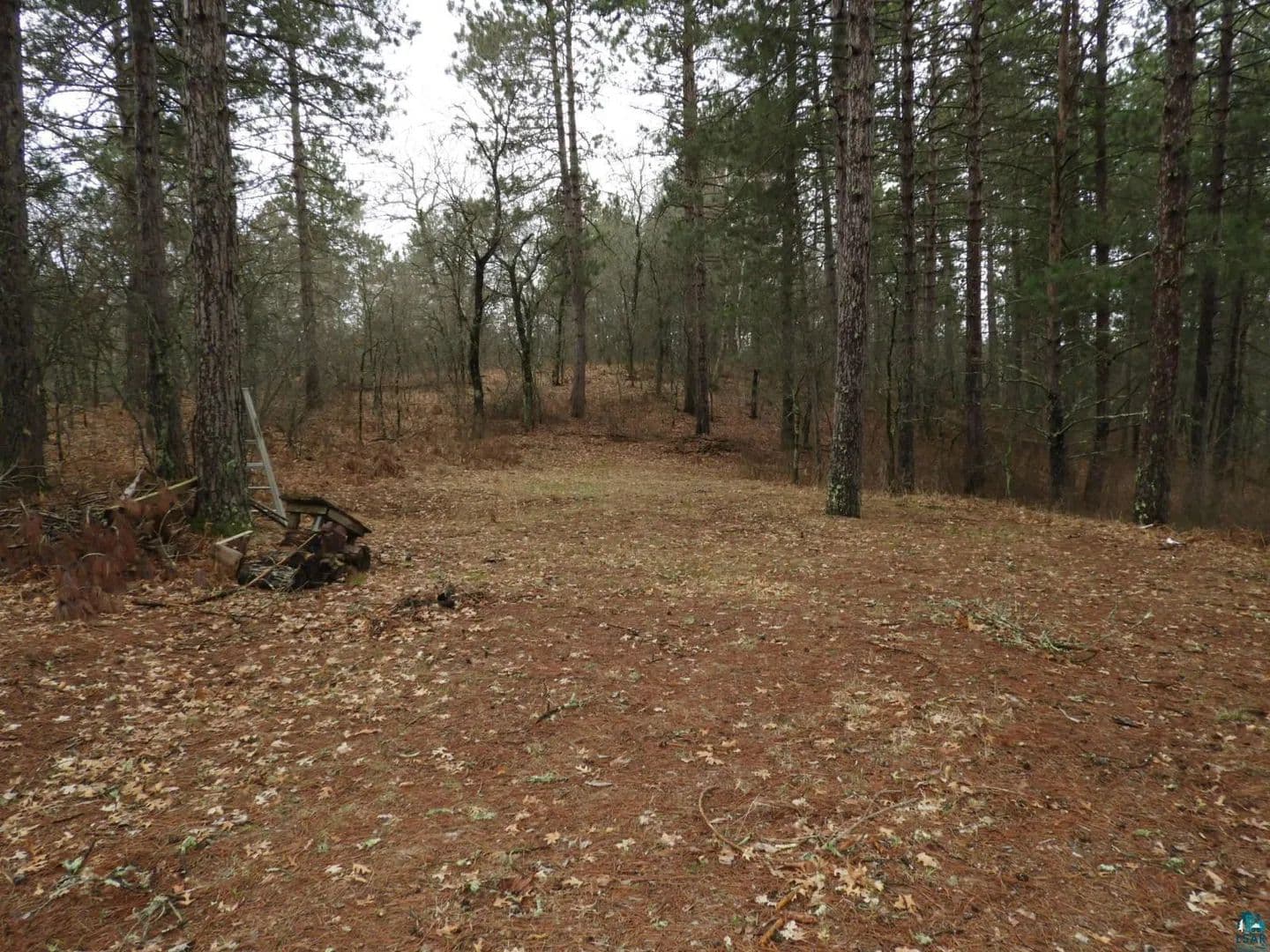 Vacant Land in Barnes - Barnes, Wisconsin, 54873