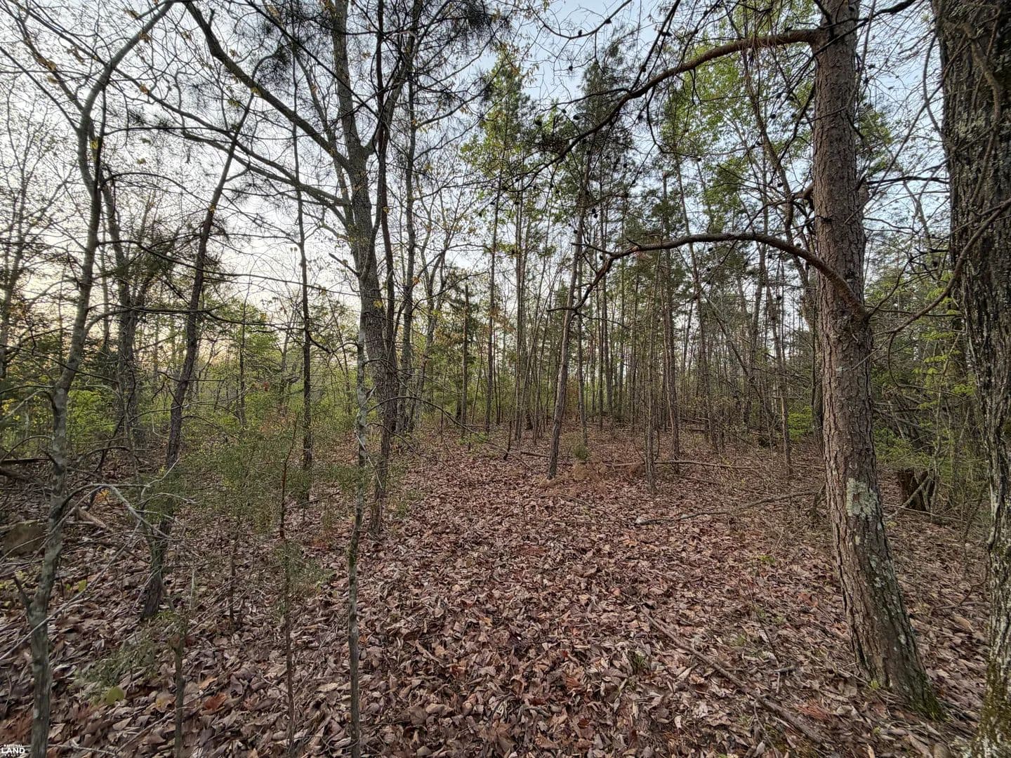 0 Salem Road - Centerville, Tennessee, 37033