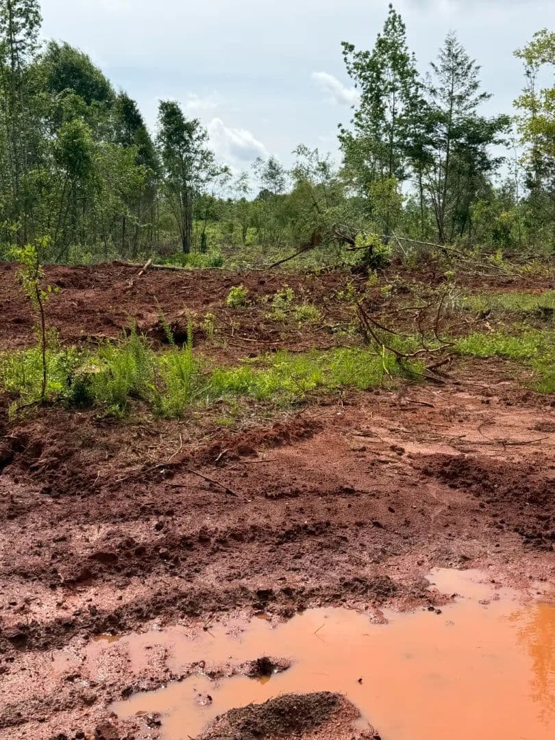 276.62 Acres Crenshaw County, AL - Luverne, Alabama, 36049