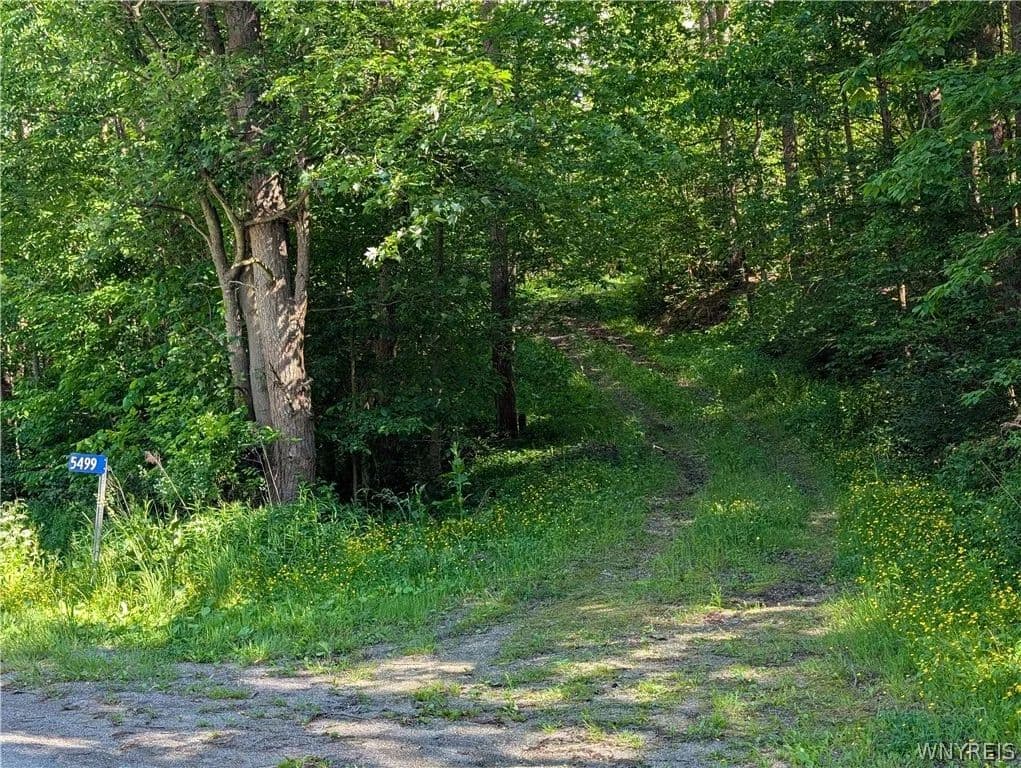 Property from 5499 Bryant Hill Road - KW - Ellicottville, New York, 14731