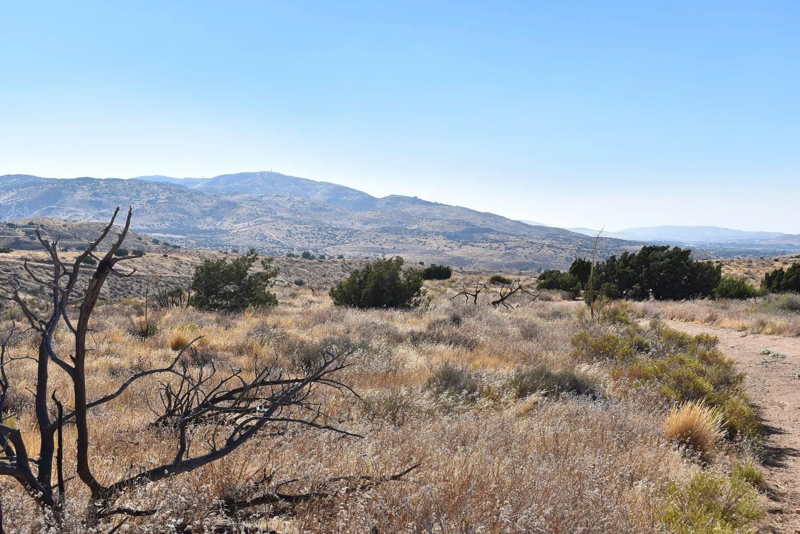 Lots & Land-Other in Palmdale - Palmdale, California, 93550