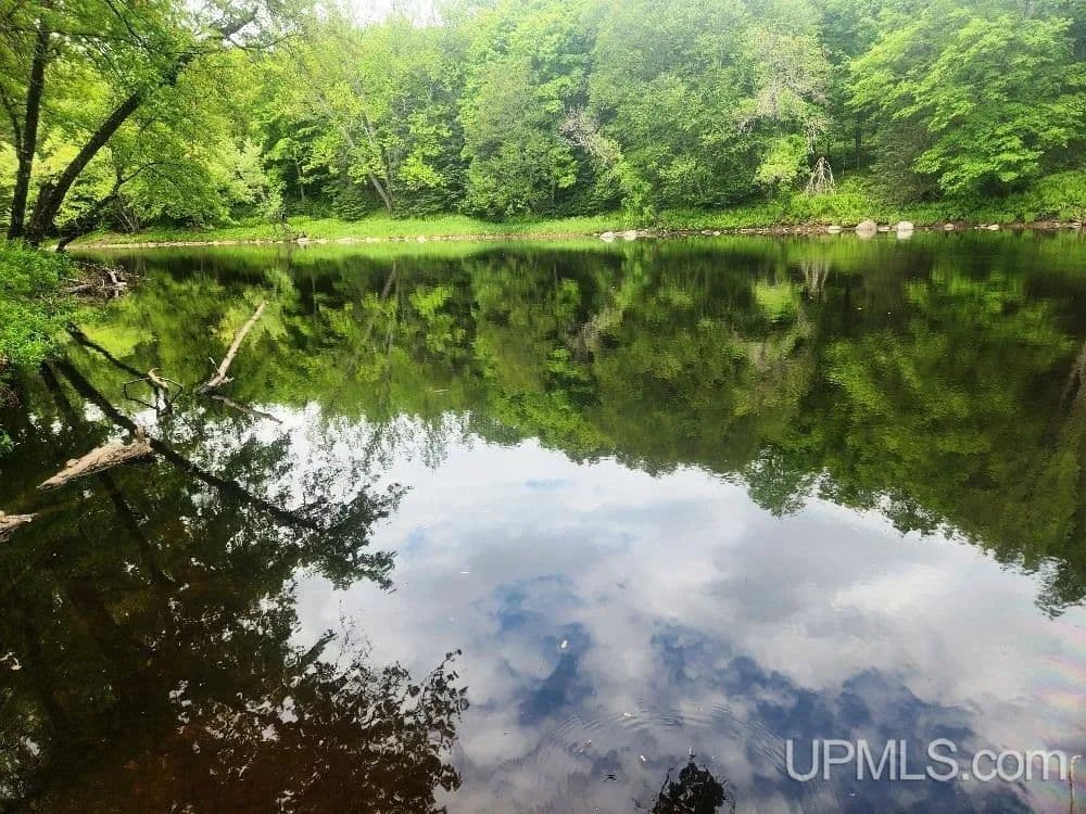 Property from Lot 5 Wilderness Way - KW - Crystal Falls, Michigan, 49920