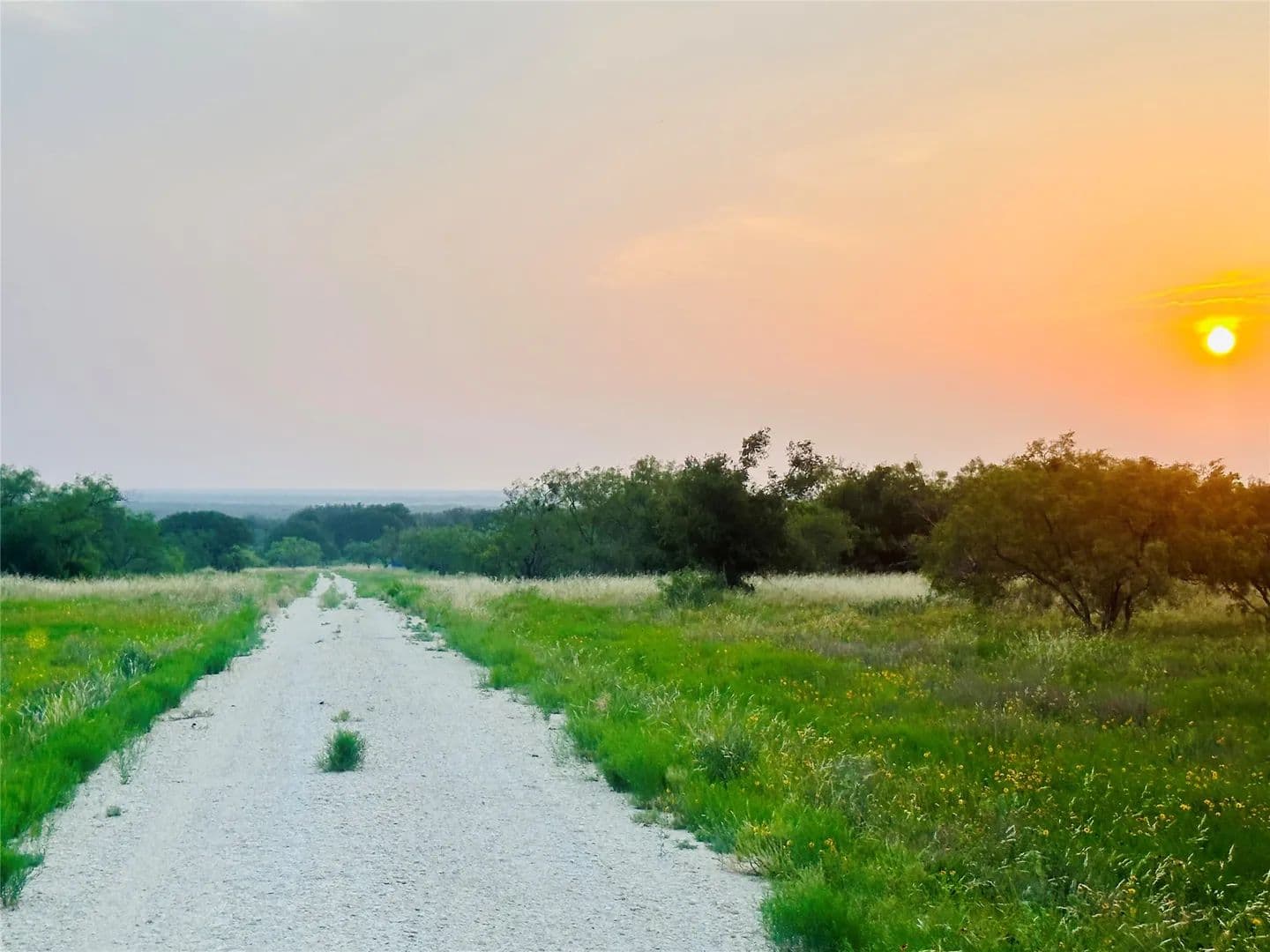 10.74 Acres of Land for Sale in Melvin, Texas - Melvin, Texas, 76858