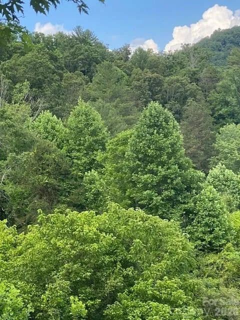 Property from 000 East Fork Road - KW - Marshall, North Carolina, 28753