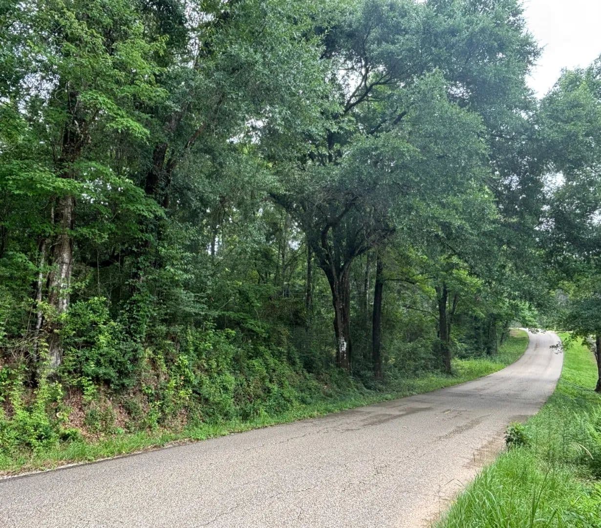 5 Acre Residential Lot in Washington Parish in Bogalusa, LA - Bogalusa, Louisiana, 70427
