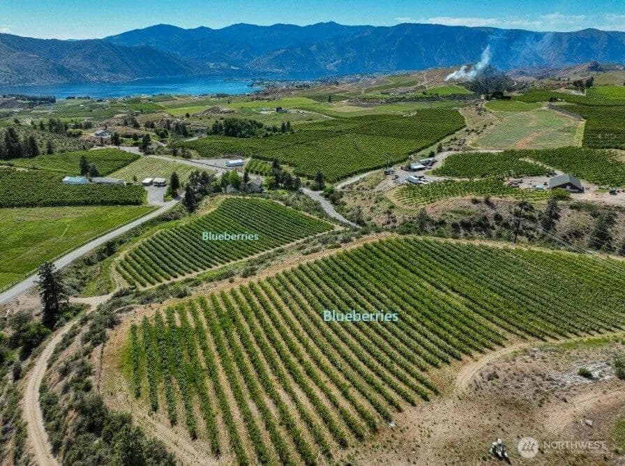 Lots & Land-Other in Chelan - land for sale