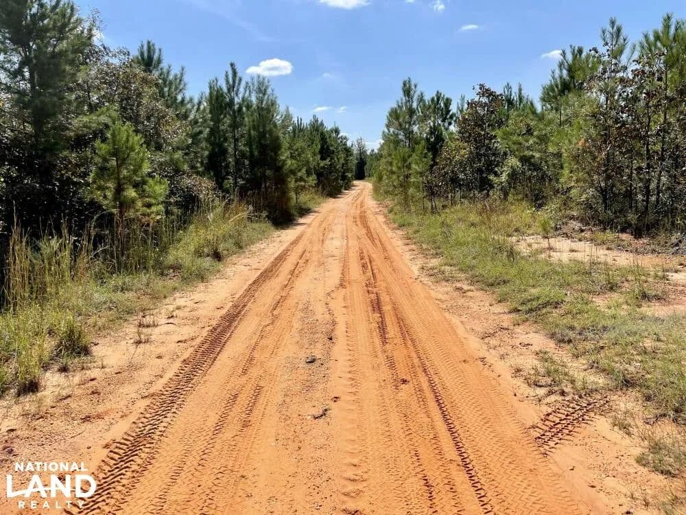Bridlepath Road Estate Lot Homesite C - Jackson, Alabama, 36545