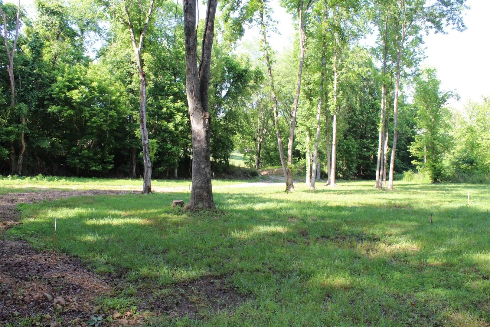 Vacant Land in Stewart - Stewart, Tennessee, 37175