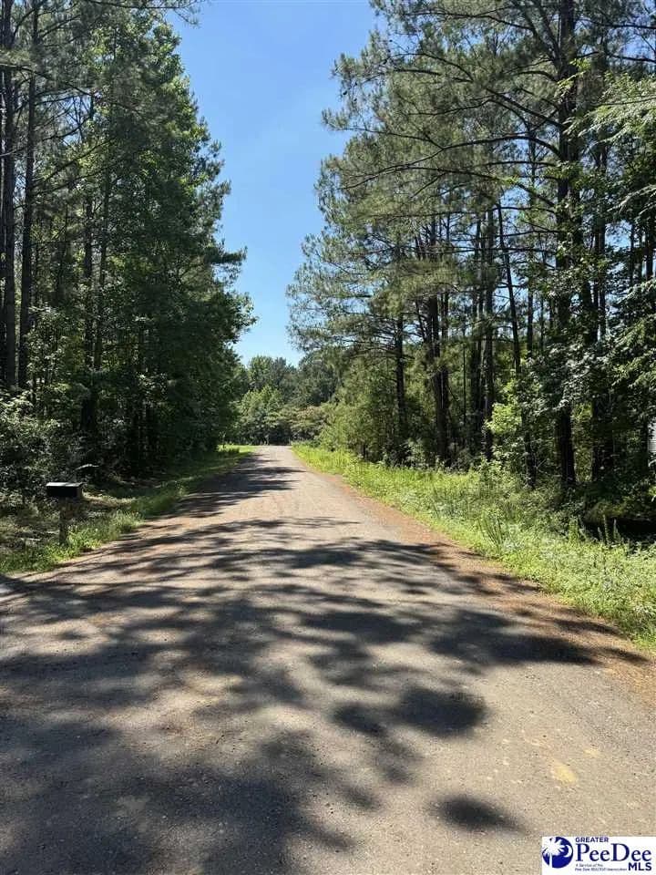 Property from 7 Orange Blossom Street (Lot 18) - KW - Andrews, South Carolina, 29510