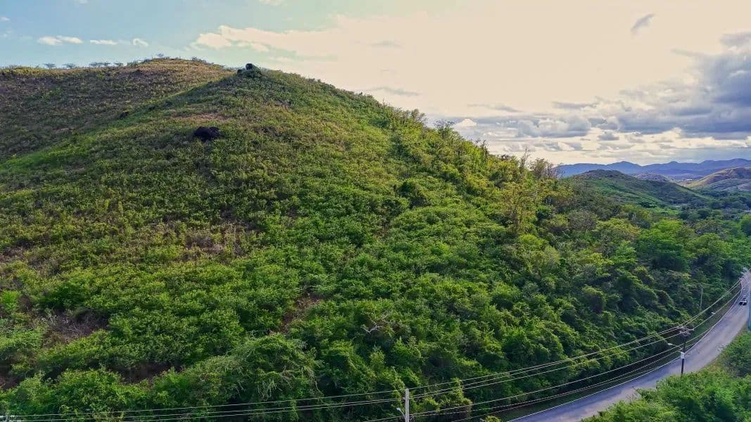 29831 Acres of Land for Sale in Salinas - Puerto Rico
