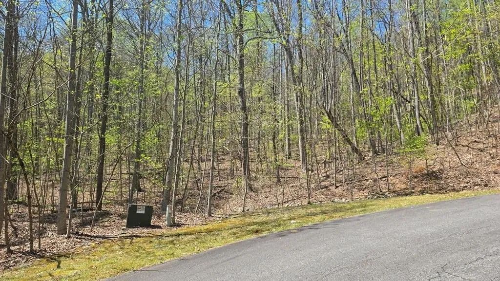 Lots & Land-Other in Young Harris - Young Harris, Georgia, 30582